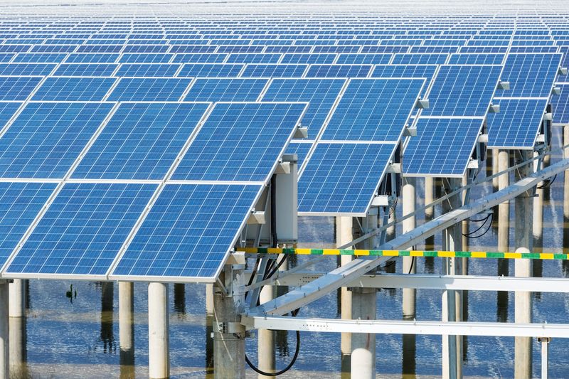 Rows of solar panels